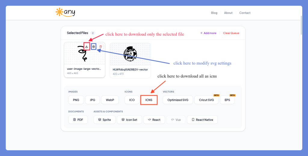 Selected Files interface with clear action buttons for download and settings